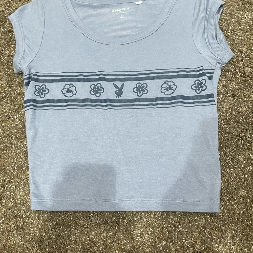 PacSun Gray Crop Fitted T-Shirt